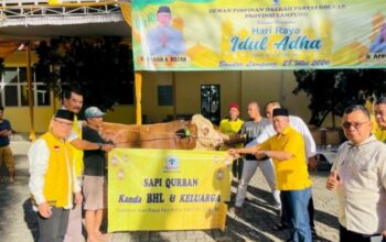 Golkar Lampung Sembelih 65 Hewan Kurban pada Iduladha 1447 Hijriah