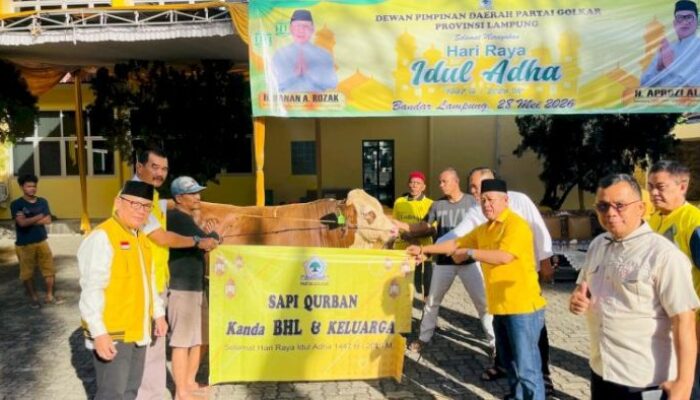 Golkar Lampung Sembelih 65 Hewan Kurban pada Iduladha 1447 Hijriah